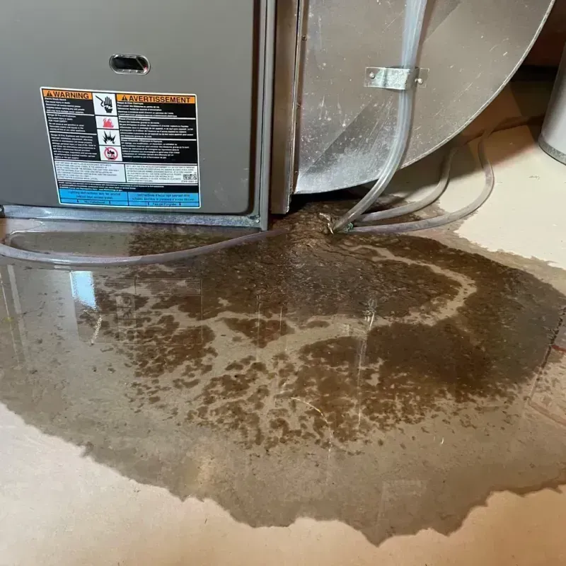 Appliance Leak Cleanup in Trenton, IL